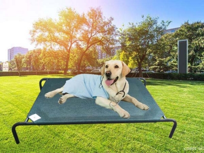 Hot selling PE Rectangle Pet Bed
