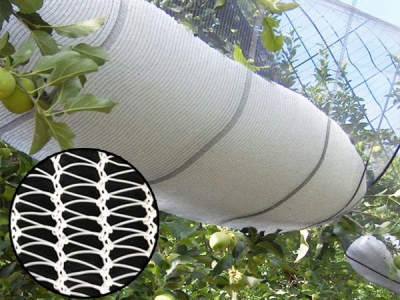 Custom High strength HDPE Anti Hail Net for The fruit tree protection
